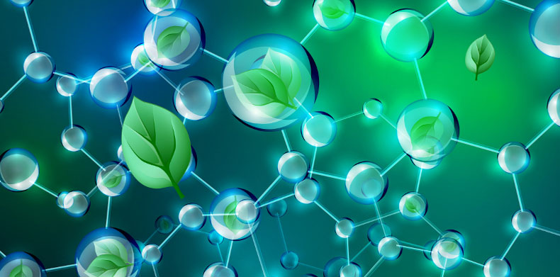 Post Graduate Diploma